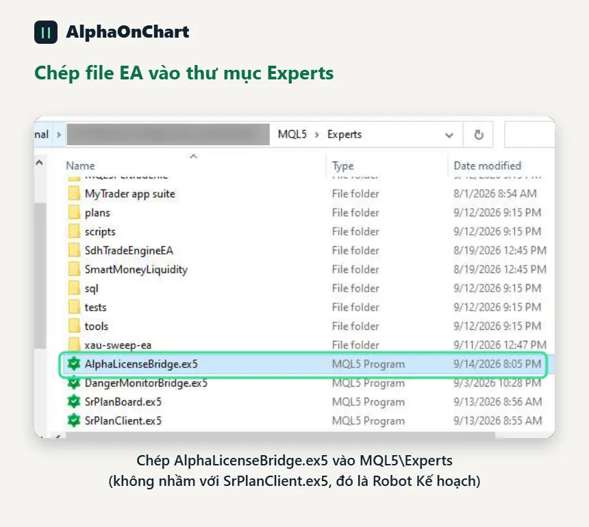 Chép file EA vào thư mục Experts