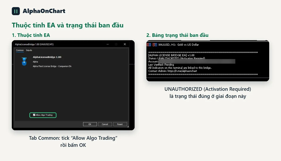 Cài thuộc tính EA