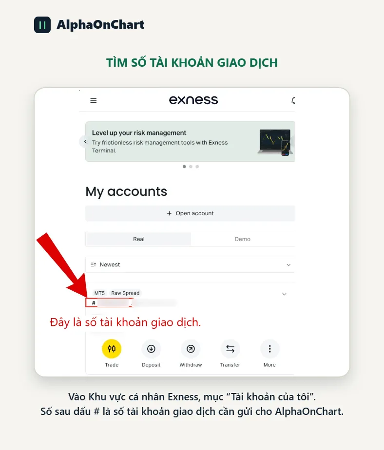 Wait for Exness to approve and create a new trading account