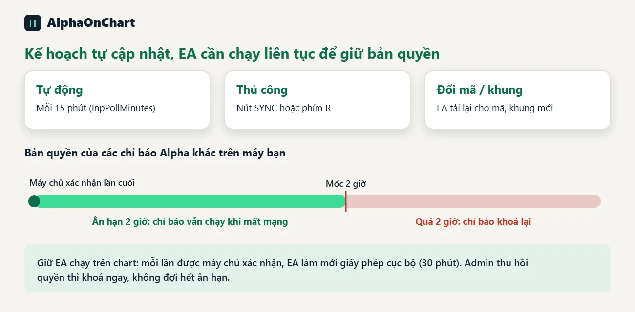 Cập nhật kế hoạch và giữ bản quyền