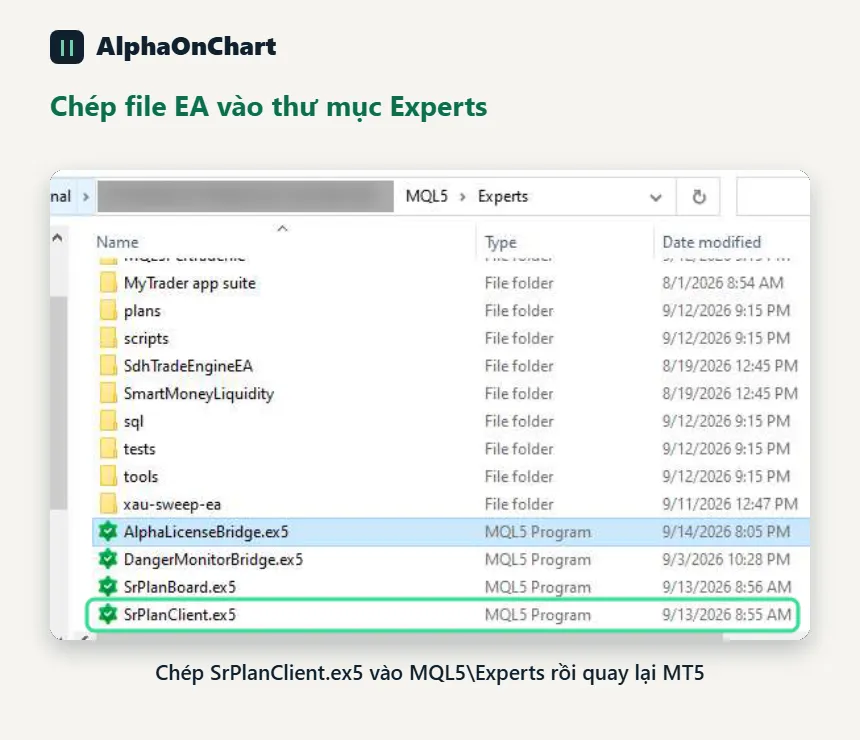 Cài đặt bước 2: chép file EA